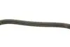 Ремінь генератора Hyundai i10/Fiat Doblo/Punto/Stilo 1.2/1.4 01- Gates 4PK675 (фото 3)