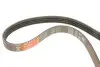Ремінь генератора Hyundai i10/Fiat Doblo/Punto/Stilo 1.2/1.4 01- Gates 4PK675 (фото 4)