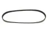 Ремень генератора Ford Transit 2.0 TDCI 00-06 Gates 4PK738 (фото 1)