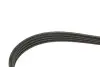 Ремень генератора Ford Transit 2.0 TDCI 00-06 Gates 4PK738 (фото 3)