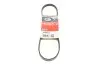 Ремень генератора Nissan Almera/Primera/Sunny 1.0-5.0 82- Gates 4PK813 (фото 1)
