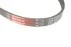 Ремень генератора Nissan Almera/Primera/Sunny 1.0-5.0 82- Gates 4PK813 (фото 3)