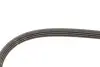Ремень генератора Nissan Almera/Primera/Sunny 1.0-5.0 82- Gates 4PK813 (фото 4)