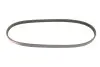 Ремень генератора Nissan Almera/Primera/Sunny 1.0-5.0 82- Gates 4PK813 (фото 5)
