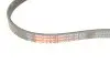 Поликлиновые ремни Micro-V StretchFit (Выр-во) Gates 4PK843SF (фото 2)