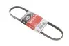Ремінь генератора Honda Civic VI/Nissan Primera 1.3-6.0 87- Gates 4PK845 (фото 1)