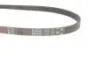 Ремінь генератора Honda Civic VI/Nissan Primera 1.3-6.0 87- Gates 4PK845 (фото 2)