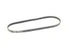 Ремень генератора Peugeot Expert/Citroen Jumpy/Renault Kangoo 1.0-3.5 88- Gates 4PK905 (фото 2)