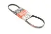 Ремень генератора Renault Kangoo/Logan/Lada Largus 1.4/1.6 04- Gates 4PK916-890SF (фото 1)