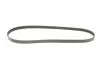 Ремень генератора Renault Kangoo/Logan/Lada Largus 1.4/1.6 04- Gates 4PK916-890SF (фото 2)