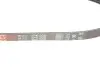 Ремень генератора Renault Kangoo/Nissan Kubistar 1.2 16V 97- Gates 4PK928 (фото 4)