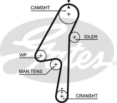 Пас ГРМ з довжиною кола понад 60 см, але не більш як 150см Gates 5580 XS
