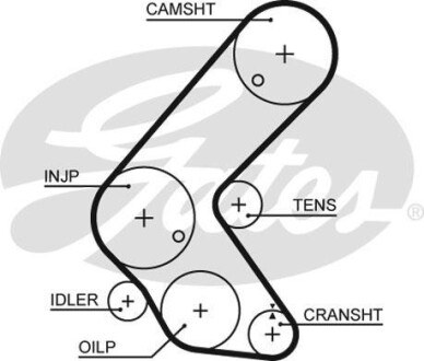 (8597-15679) Ремень ГРМ XS Gates 5679XS