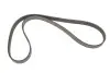 Ремінь генератора Ford Escort 1.8 D 90-00 Gates 5PK1013 (фото 1)