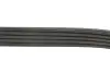 Ремінь генератора Ford Escort 1.8 D 90-00 Gates 5PK1013 (фото 4)