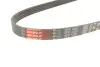 Ремень генератора Mazda 323/626/Opel Astra G/Vectra B/C 2.0/2.2 00-08 Gates 5PK1030 (фото 5)