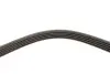 Ремень генератора Peugeot Partner 1.4-1.6 16V 96-15 Gates 5PK1250 (фото 3)