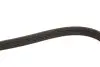 Ремінь генератора Suzuki Grand Vitara 2.0 05- Gates 5PK1550 (фото 4)