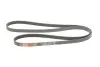 Ремінь генератора BMW 5 (E39)/Opel Omega B 2.5D/2.5TD 94-03 Gates 5PK1815 (фото 2)