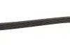 Ремінь генератора BMW 5 (E39)/7 (E38) 2.5TD/Kia Cerato 1.5-1.6CRDI 05- Gates 5PK1850 (фото 3)