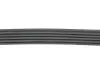 Ремень генератора BMW 3 (E46)/X5 (E53)/5 (E39) 2.5D/3.0D 98-06 Gates 5PK810 (фото 3)