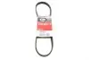 Ремінь генератора BMW 3/5 90-00 / Ford Focus 2.5 05-12 Gates 5PK890 (фото 1)