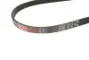 Ремінь генератора BMW 3/5 90-00 / Ford Focus 2.5 05-12 Gates 5PK890 (фото 2)