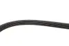 Ремінь генератора BMW 3/5 90-00 / Ford Focus 2.5 05-12 Gates 5PK890 (фото 3)