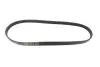 Ремінь генератора BMW 3/5 90-00 / Ford Focus 2.5 05-12 Gates 5PK890 (фото 4)