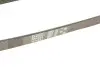 Ремень генератора Honda Accord/Fiat Punto/VW Passat B7 1.7TD-2.5 -97 Gates 5PK933 (фото 4)