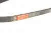 Ремень генератора Honda Accord/Fiat Punto/VW Passat B7 1.7TD-2.5 -97 Gates 5PK933 (фото 5)