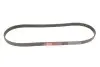 Ремень генератора Fiat Scudo 2.0 JTD 99-06 Gates 5PK970 (фото 4)
