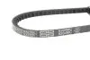 Ремень клиновый AVX 10x600 (Выр-во) Gates 6204MC (фото 2)