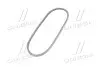 Ремінь генератора VW Golf II/VW Passat 1.6/1.8/2.0 88-93 Gates 6391MC (фото 2)
