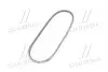 Ремінь генератора VW Golf II/VW Passat 1.6/1.8/2.0 88-93 Gates 6391MC (фото 4)