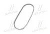 Ремень клиновый AVX 13х925 (выр-во) Gates 6467MC (фото 2)