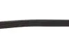 Ремень генератора Citroen C3/C4/Peugeot 307 1.4-1.6HDi 02- Gates 6PK1090SF (фото 3)
