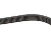 Ремень генератора Nissan Primera/Fiat Marea 1.8-2.4JTD 96-02 Gates 6PK1103 (фото 3)