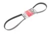 Ремень генератора Citroen Jumper/Fiat Ducato 2.0/2.2HDi/JTD 02- Gates 6PK1173 (фото 2)