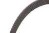 Ремень генератора Citroen Jumper/Fiat Ducato 2.0/2.2HDi/JTD 02- Gates 6PK1173 (фото 3)
