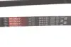 Ремень генератора Citroen Jumper/Fiat Ducato 2.0/2.2HDi/JTD 02- Gates 6PK1173 (фото 4)