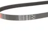 Ремень генератора Citroen Jumper/Fiat Ducato/Peugeot Boxer 2.0/2.2HDi/JTD 02- Gates 6PK1183 (фото 2)