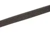 Ремінь генератора Renault Kangoo/Logan/Scenic/Talisman 1.4/1.5 dCi/1.6 03- Gates 6PK1198 (фото 3)
