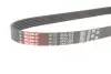Ремень генератора Ford Scorpio/Sierra 2.0i 85-94 Gates 6PK1228 (фото 2)