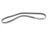 Ремень генератора Ford Scorpio/Sierra 2.0i 85-94 Gates 6PK1228 (фото 4)