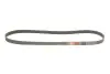 Ремень генератора VW T5 3.2 V6 03-09 Gates 6PK1263 (фото 2)