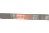 Ремень генератора Ford Granada/Fiat Bravo 1.9D/2.0 07- Gates 6PK1270 (фото 4)