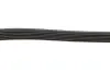 Ремінь генератора Opel Astra G/H/ Combo/Corsa C/Meriva A 1.7CDI 04- Gates 6PK1275 (фото 3)