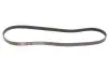 Ремень генератора Peugeot Bipper 1.4HDI Gates 6PK1353 (фото 1)