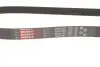 Ремень генератора Peugeot Bipper 1.4HDI Gates 6PK1353 (фото 4)